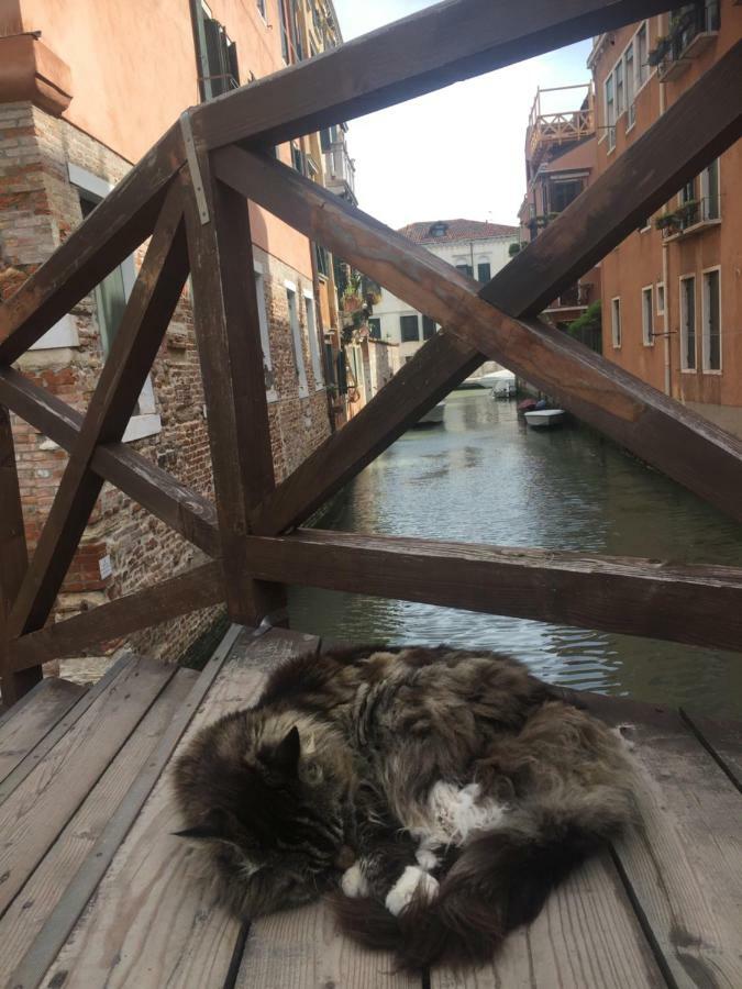 Tintoretto 1 Con Terrazza Sopra Il Tetto, 3 Bagni, 3 Grandi Camere Da Letto, Super Nuovo 베니스 외부 사진